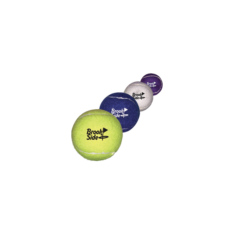 Pet Fetch Toy Tennis Ball