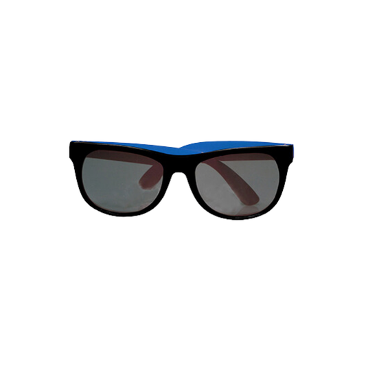 Two Tone Plastic Sunglasses